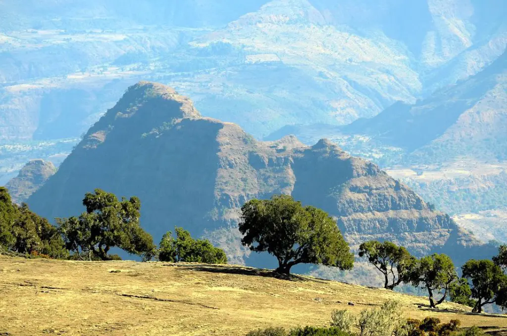 15-Days Tour to Awash Safari , Harar & Northern Wonders Tour - Ethiopia